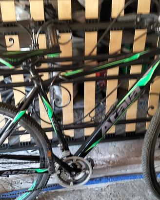 Bici per ragazzo
