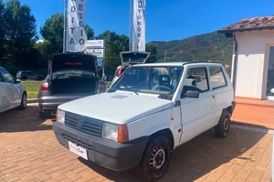 Fiat Panda 1100 i.e. cat Young
