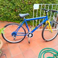 Bicicletta