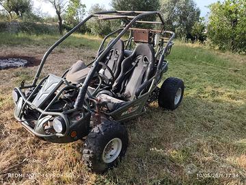 Buggy PGO 250