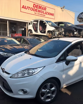 RICAMBI FORD FIESTA 2012 TZJA