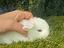 Immagine 3