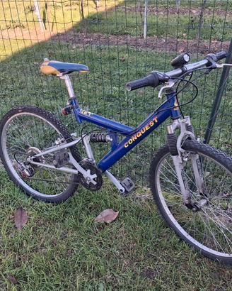 mountain bike