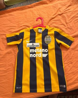 Maglai del Verona Firmata