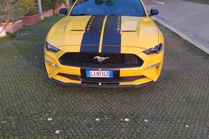 ford mustang 2300 c.c. 340 Cv