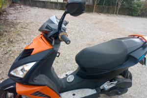 scooter anno 2013
