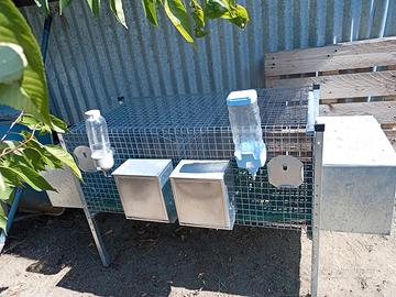 conigliera 