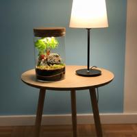 terrarium  by Sterrarium 🦋 