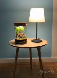 terrarium  by Sterrarium 🦋 