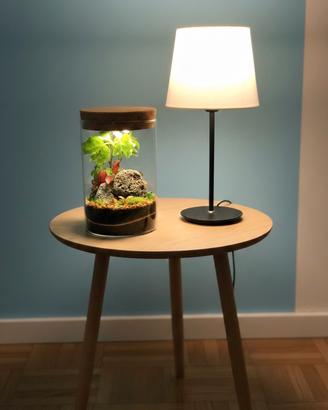 terrarium  by Sterrarium 🦋 