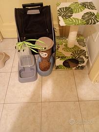 kit per gatto adulto