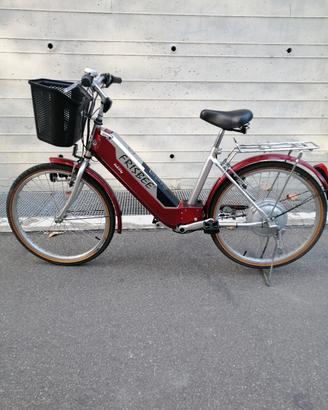 bicicletta elettrica frisbee 