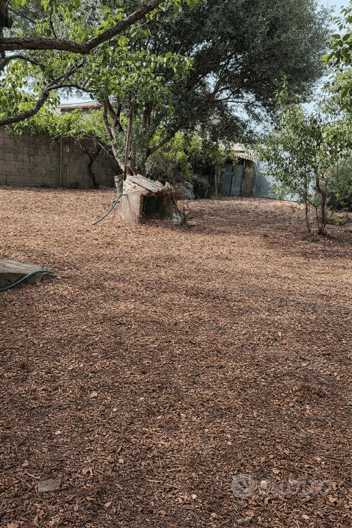 Apartment in Uras, Aristanis/Oristano - Vista 3