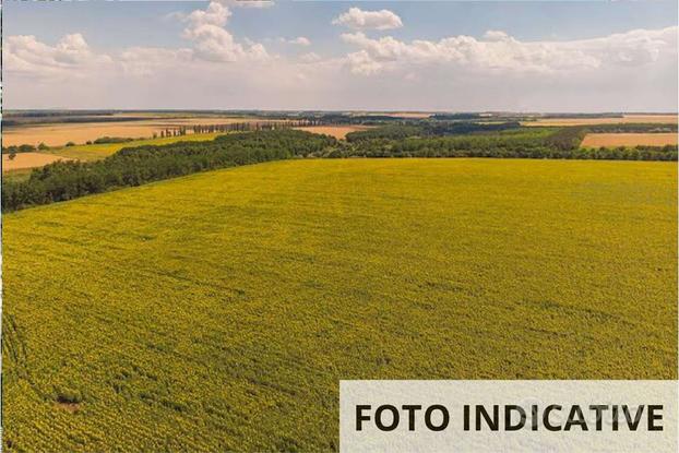 Terreno agricolo a Chiopris Viscone (UD)