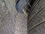 Immagine 28