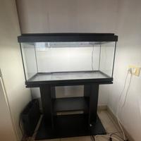 Acquario 86 litri