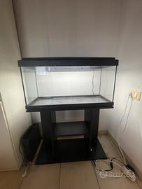 Acquario 86 litri