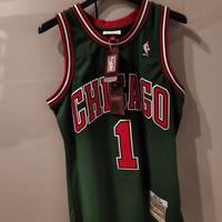jersey derrick rose 2008/2009 mitchell & ness