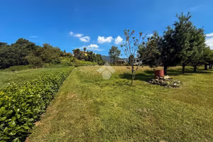 TER. AGRICOLO A OLGIATE MOLGORA