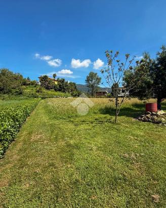 TER. AGRICOLO A OLGIATE MOLGORA