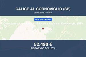 Immobile in asta di 240 m² con più di 5 locali a C