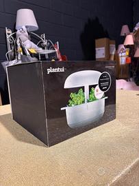 Giardino da interno grande, SCONTO