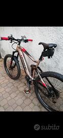 Mtb ebike haibike