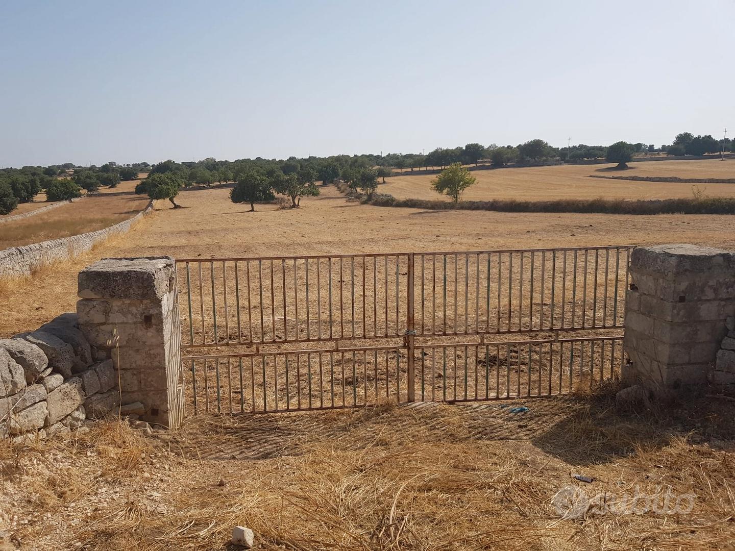 Terreno in c.da Fondo mosche - Vista 2
