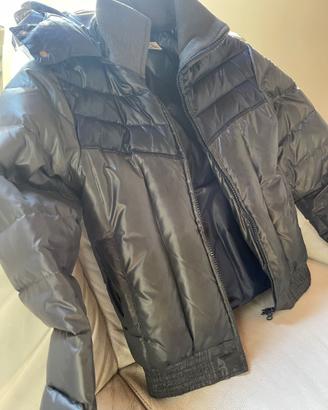 Piumino Bomber Grifoni