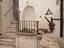 Immagine 22