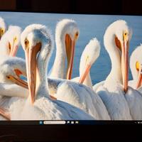 HP All-in-One Desktop 27-cb1xxx