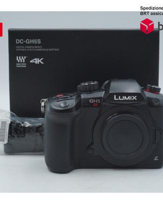 Panasonic Lumix G DC - GH5S