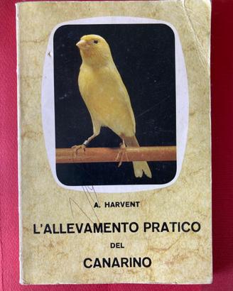 Guida all'allevamento dei canarini