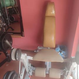 Leg extension Panatta