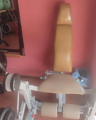 Leg extension Panatta