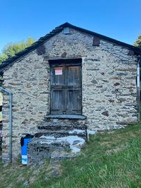 Rustico con terreno