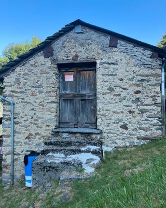 Rustico con terreno