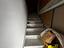 Immagine 29