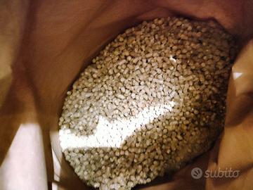 Pellet naturale 23+15kg +1 kg 1 kg di fieno