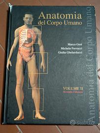 Anatomia del corpo umano (Vol. 2) Gesi