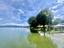 Immagine 19