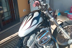 Sporster Low 883  Anno 2009