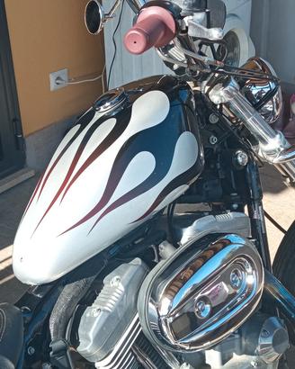 Sporster Low 883  Anno 2009