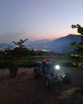 Quad