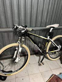 Mtb olympia master