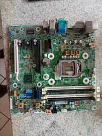scheda madre HP  Intel di RAM ddr3
