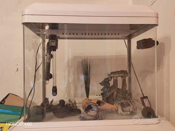Acquario