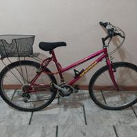 Bicicletta