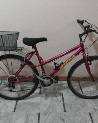 Bicicletta