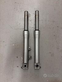 Steli forcella sh300